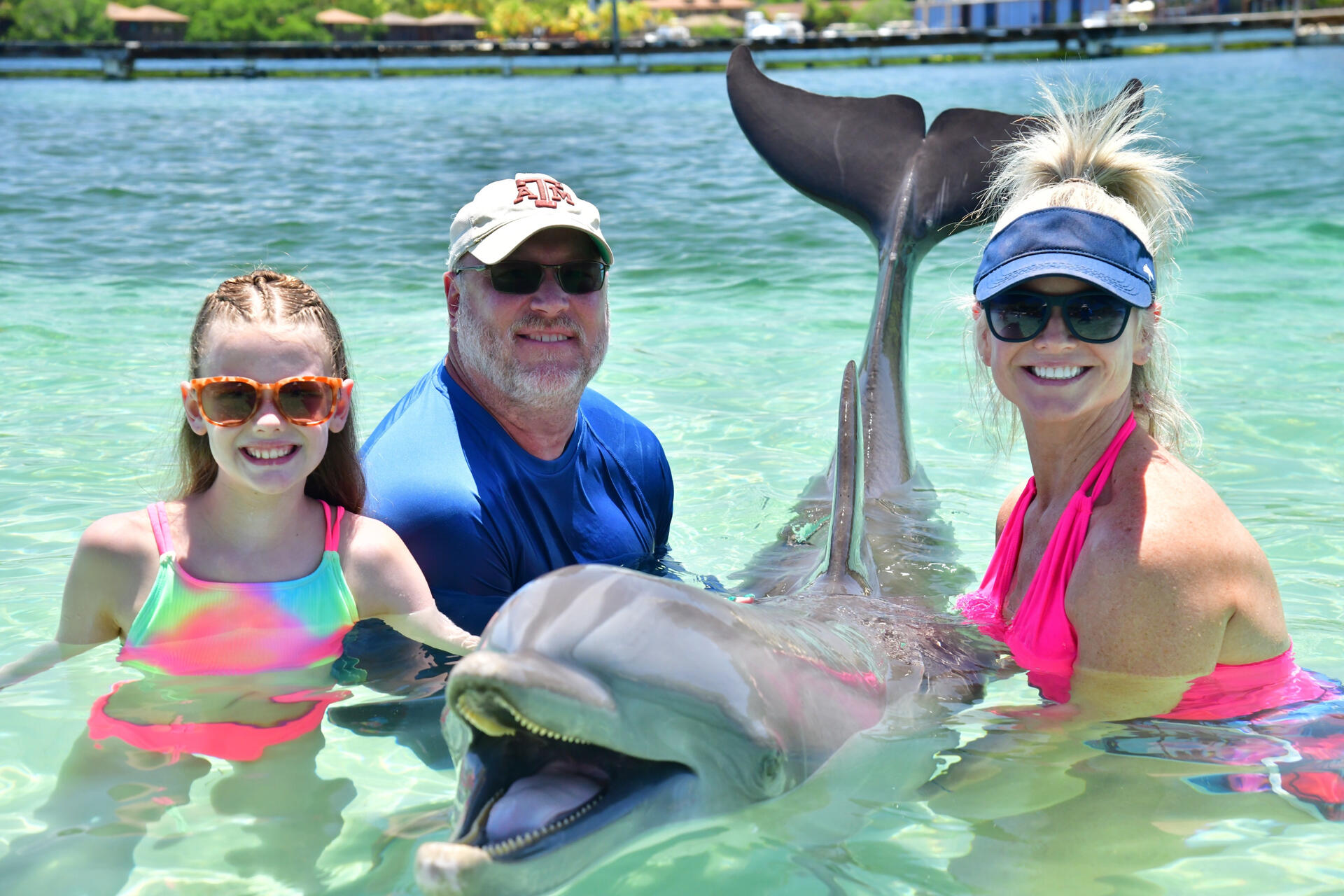 Dotty the Dolphin